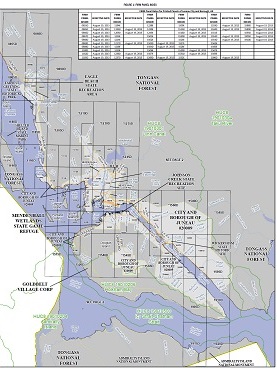 Preliminary DFIRM panel on a map