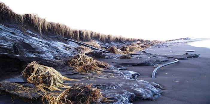 Nelson Lagoon Erosion