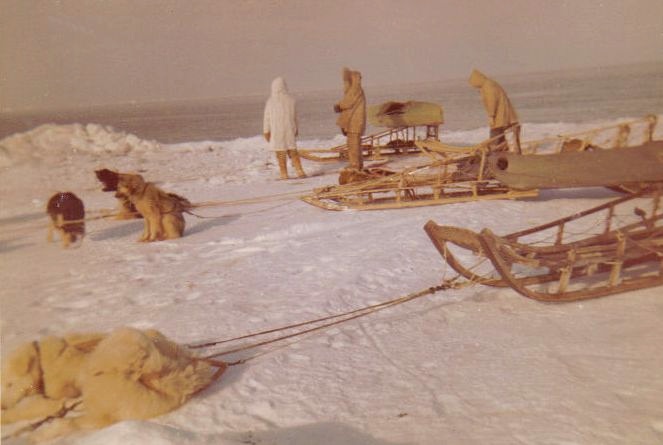 Newtok Dog Sled 3