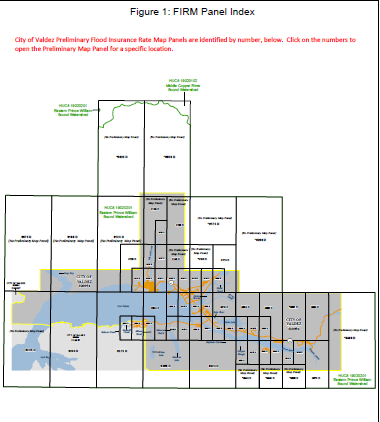 Preliminary DFIRM panel on a map