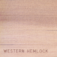 Western Hemlock