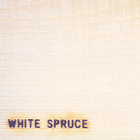 White Spruce