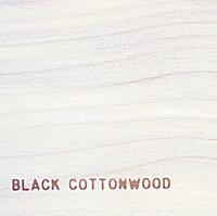 Black Cottonwood