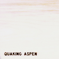 Quaking Aspen